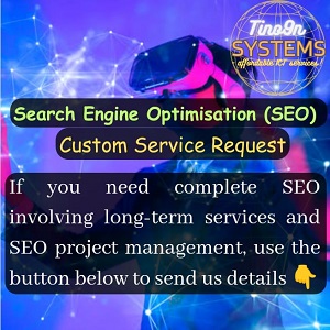 Tino9n Systems Custom SEO Services