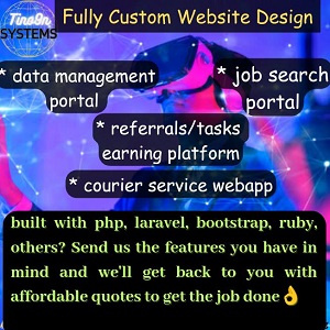 Tino9n Systems custom website requests